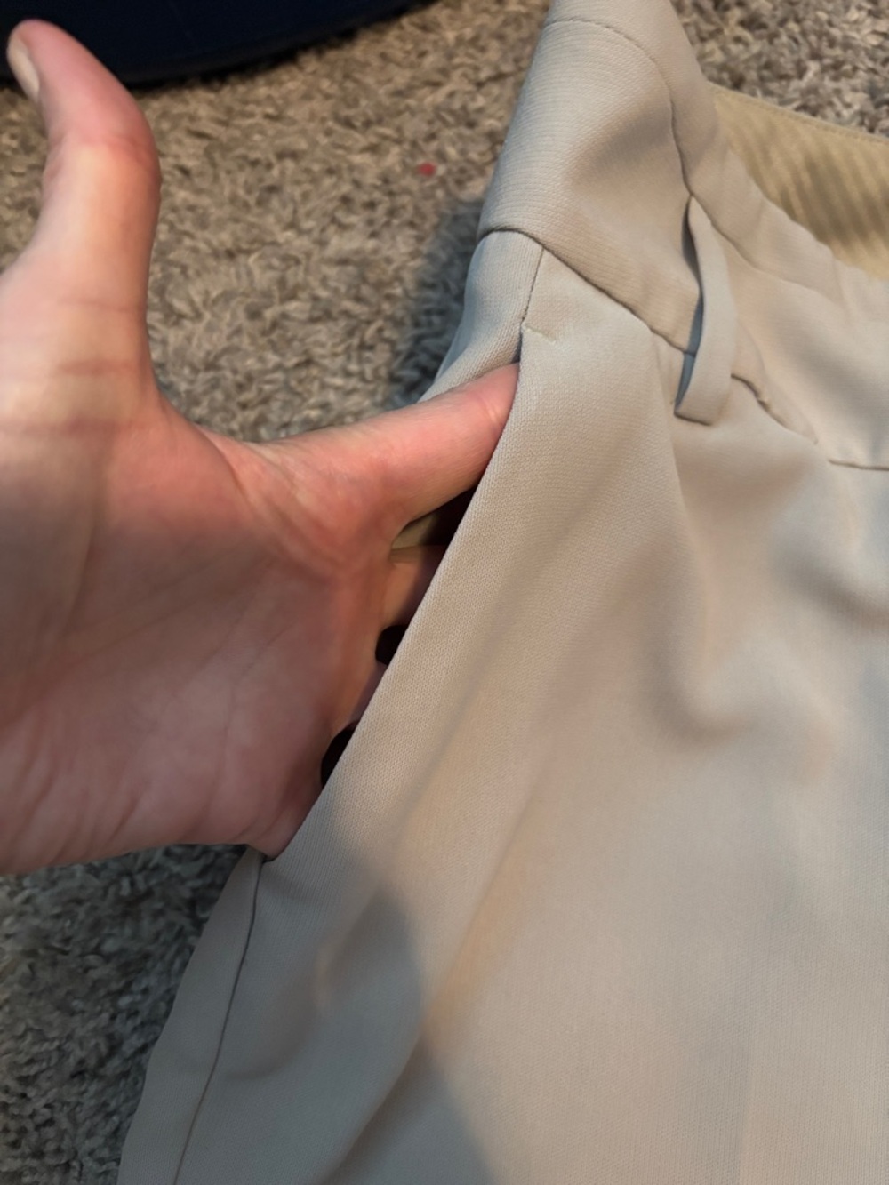 The Limited Wide-Leg Dress Pants in Light Beige - Picture 3 of 4